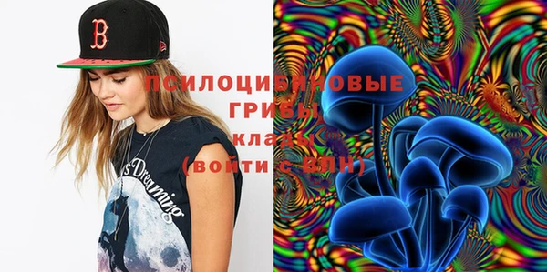 дурь Верея