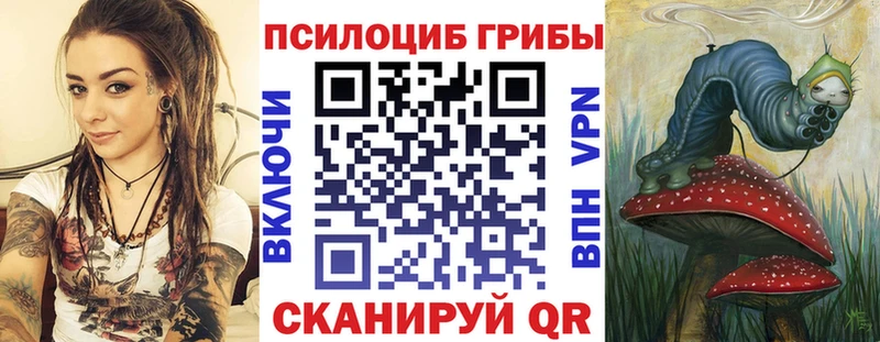Псилоцибиновые грибы Cubensis  Славянск-на-Кубани 