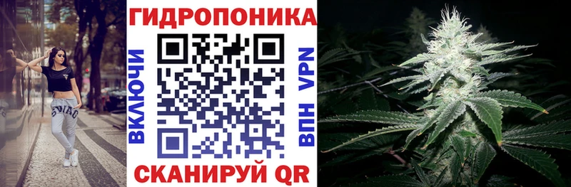 Бошки марихуана ГИДРОПОН  где можно купить   Славянск-на-Кубани 